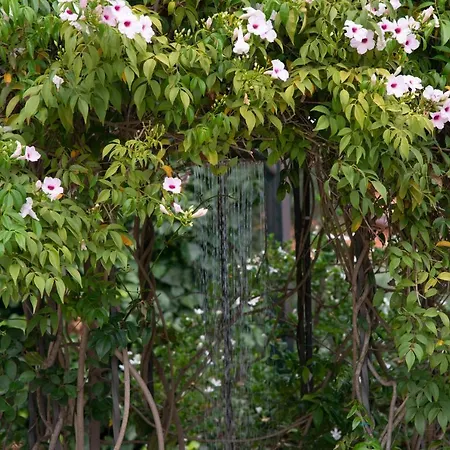 Bed & Breakfast Boutique Etna D'a'mare *