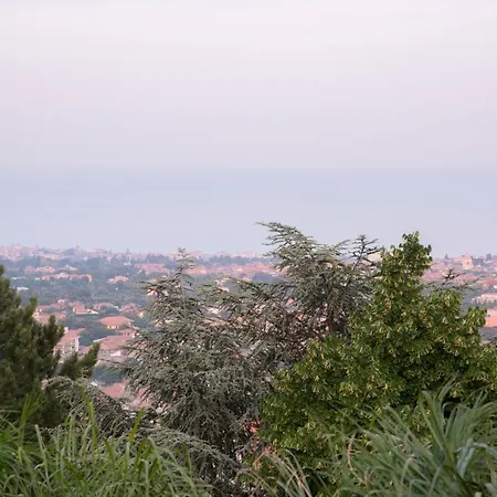 Bed & Breakfast Boutique Etna D'a'mare *